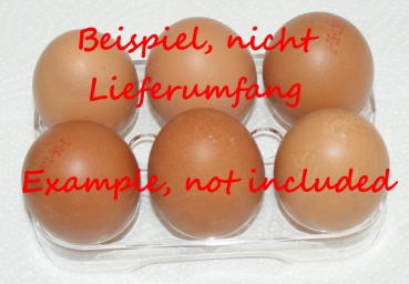 Eierbehälter für Kühlschrank, Eierhalter, Eierbox, Eier Aufbewahrungsbox, Kühlschrank, Küche